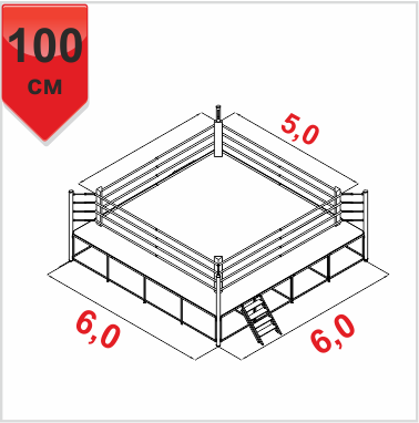 Боксерский ринг КЛУБНЫЙ помост 6х6х1м. канаты 5х5м. (373413)(Р¤РѕС‚Рѕ 1)