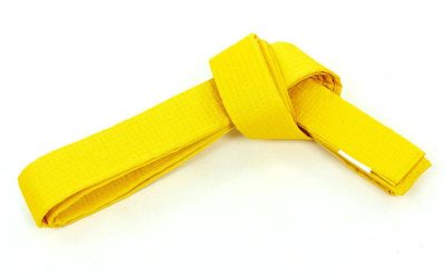 Пояс для кимоно Champion желтый CO-4073 (х-б, полиэстер)(Р¤РѕС‚Рѕ 1)