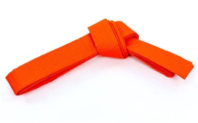 Пояс для кимоно Champion оранжевый CO-4074 (х-б, полиэстер)(Р¤РѕС‚Рѕ 1)