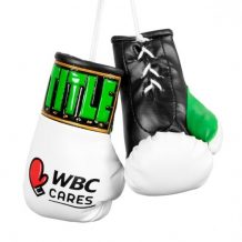 Замовити Брелок боксерские перчатки TITLE WBC Cares 5" Mini Boxing Gloves - Pair