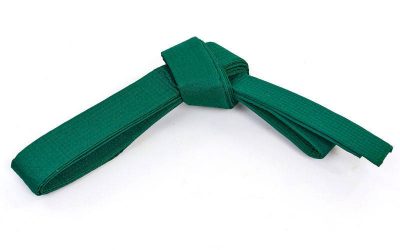 Пояс для кимоно Champion зеленый UR (х-б, полиэстер) (CO-4075)(Р¤РѕС‚Рѕ 1)