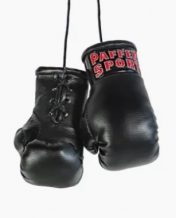 Замовити Боксерская перчатка брелок Paffen Sport (Colour)