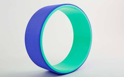 Колесо-кольцо для йоги FI-5110 Fit Wheel Yoga (PVC, TPE, р-р 32х13см, зеленый-фиолетовый)(Р¤РѕС‚Рѕ 1)