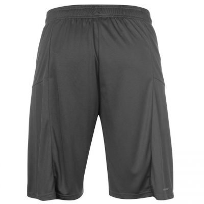 Шорты спортивные мужские Everlast Training Fly Shorts Mens(Р¤РѕС‚Рѕ 2)