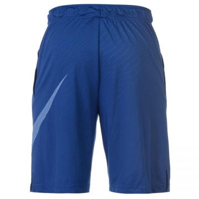 Шорты спортивные Nike DryFit Embroidered Shorts Mens(Р¤РѕС‚Рѕ 2)