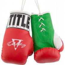 Замовити Брелок боксерская перчатка OSCAR DE LA HOYA 5" MINI BOXING GLOVES