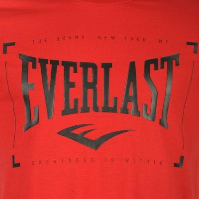 Футболка Everlast Logo T Shirt Mens (595013-95)(Р¤РѕС‚Рѕ 3)