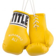 Замовити Брелок Ali 5" Mini Boxing Gloves (Разные расцветки)