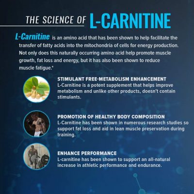 L-Карнитин RSP Liquid L-Carnitine 1500 (473 мл)(Р¤РѕС‚Рѕ 2)