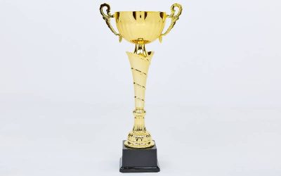 Кубок спортивный с ручками FEAST C-2060C (пластик, h-27см, b-13см, d чаши-8см, золото)(Р¤РѕС‚Рѕ 1)