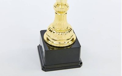 Кубок спортивный с ручками FEAST C-2060C (пластик, h-27см, b-13см, d чаши-8см, золото)(Р¤РѕС‚Рѕ 2)