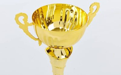 Кубок спортивный с ручками FEAST C-2060C (пластик, h-27см, b-13см, d чаши-8см, золото)(Р¤РѕС‚Рѕ 3)