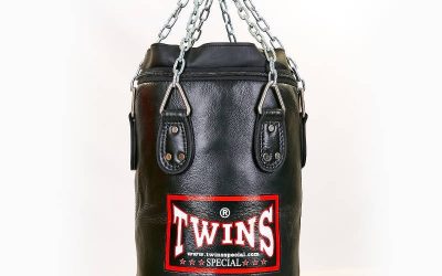 Чехол боксерского мешка Цилиндрический кожаный TWINS HBFL(Р¤РѕС‚Рѕ 4)