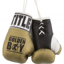 Замовити Брелок - боксерская перчатка Golden Boy 5" Mini Boxing Gloves оливковый
