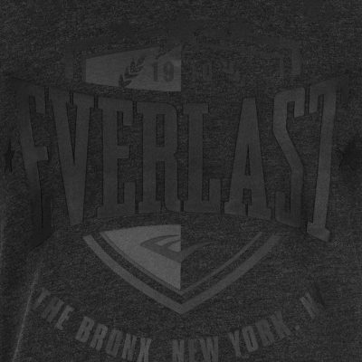 Футболка Everlast Shield T Shirt Mens(Р¤РѕС‚Рѕ 3)