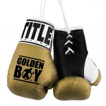 Замовити Брелок Боксерские перчатки Golden Boy 5" Mini Boxing Gloves