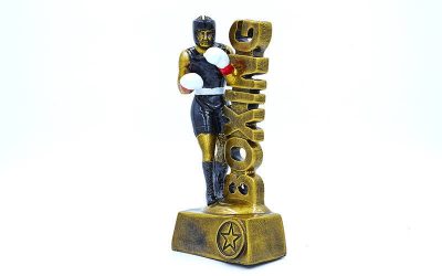 Статуэтка (фигурка) наградная спортивная Бокс Боксер C-3229-B8 (р-р 9х5х19см)(Р¤РѕС‚Рѕ 2)