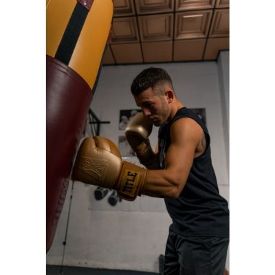 Перчатки боксерские ALI Limited Edition Comeback Training Gloves(Р¤РѕС‚Рѕ 6)