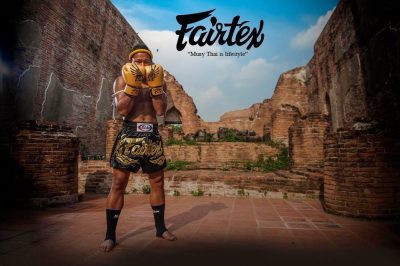 Боксерские перчатки Fairtex Falcon Limited Edition(Р¤РѕС‚Рѕ 3)