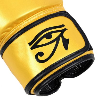 Боксерские перчатки Fairtex Falcon Limited Edition(Р¤РѕС‚Рѕ 4)