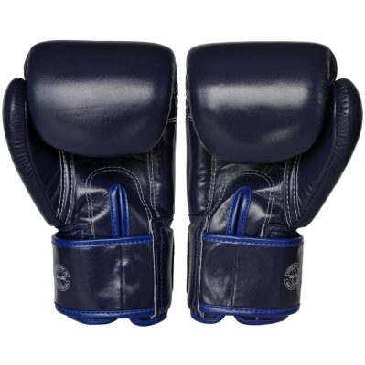 Боксерские перчатки Fairtex BGV1 Nation Print Синий(Р¤РѕС‚Рѕ 2)