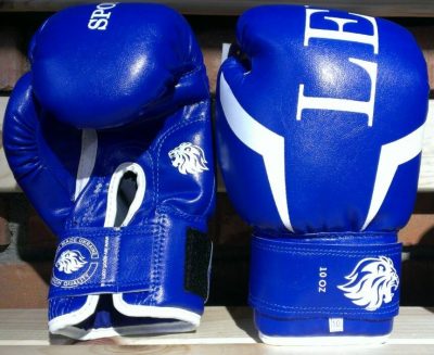 Боксерские перчатки Lev sport Винил Синий(Р¤РѕС‚Рѕ 1)