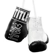 Замовити Брелок боксерские перчатки Ali 5" Mini Boxing Gloves Черный/Белый