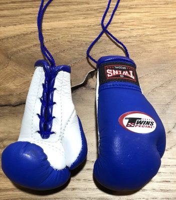 Белок Twins боксерские перчатки Синий/Белый(Р¤РѕС‚Рѕ 2)
