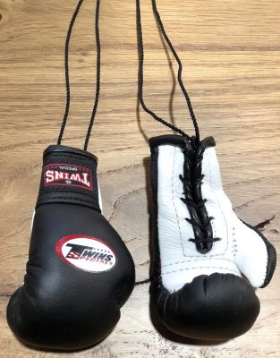 Белок Twins боксерские перчатки Черный/Белый(Р¤РѕС‚Рѕ 2)