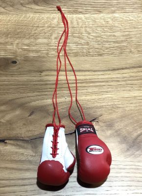 Белок Twins боксерские перчатки Красный/Белый(Р¤РѕС‚Рѕ 1)