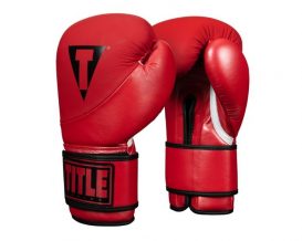 Замовити Перчатки боксерские TITLE Boxing Cyclone Leather Training Gloves Бордо