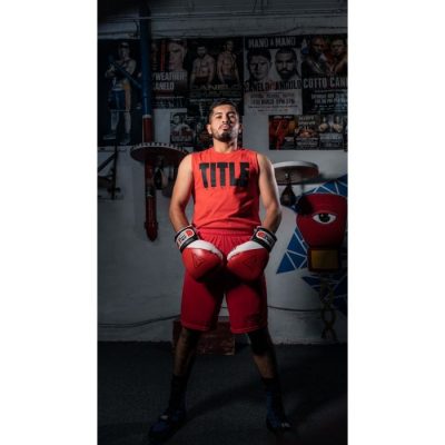 Перчатки боксерские TITLE GEL E-Series Training/Sparring Gloves(Р¤РѕС‚Рѕ 4)