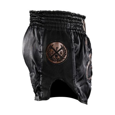 Шорты для тайского бокса Joya 'Bangkok' Kickboxing Short - Винтаж Коричневый(Р¤РѕС‚Рѕ 3)