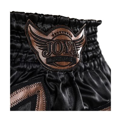 Шорты для тайского бокса Joya 'Bangkok' Kickboxing Short - Винтаж Коричневый(Р¤РѕС‚Рѕ 4)