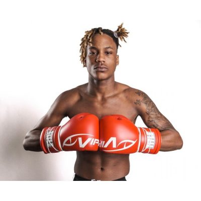 Перчатки боксерские VIPER by TITLE Boxing Greatness Leather Sparring Gloves(Р¤РѕС‚Рѕ 5)