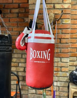 Боксерский детский набор (мешок + перчатки) Разные расцветки(Р¤РѕС‚Рѕ 4)