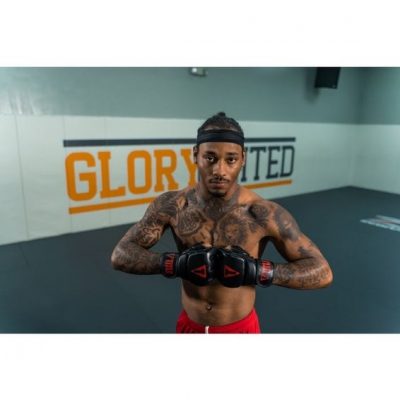 Перчатки TITLE MMA Pro Training Gloves Черный (6 унций)(Р¤РѕС‚Рѕ 2)