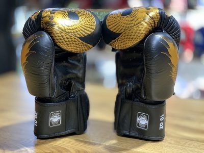 Боксерские перчатки Twins DRAGON FBGVL-23G(Р¤РѕС‚Рѕ 2)