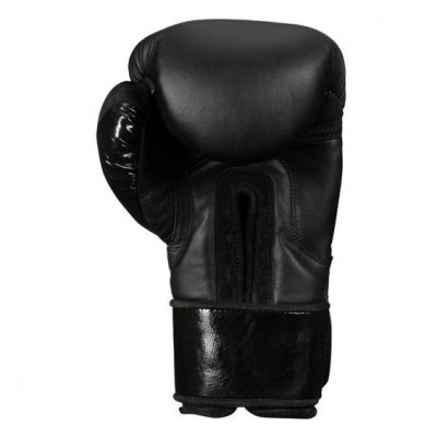 Перчатки боксерские TITLE BLACK Training Gloves 2.0 BKTG2(Р¤РѕС‚Рѕ 3)