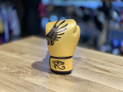 Боксерские перчатки Fairtex Falcon Limited Edition(Р¤РѕС‚Рѕ 9)