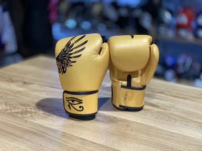 Боксерские перчатки Fairtex Falcon Limited Edition(Р¤РѕС‚Рѕ 11)