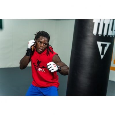 Перчатки TITLE MMA Pro Training Gloves Белый (6 унций)(Р¤РѕС‚Рѕ 2)