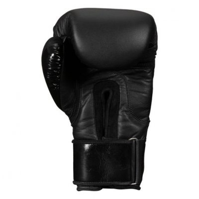 Перчатки боксерские TITLE BLACK Training Gloves 2.0(Р¤РѕС‚Рѕ 9)