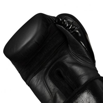Перчатки боксерские TITLE BLACK Training Gloves 2.0(Р¤РѕС‚Рѕ 10)