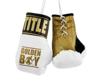 Брелок Боксерские перчатки Golden Boy 5