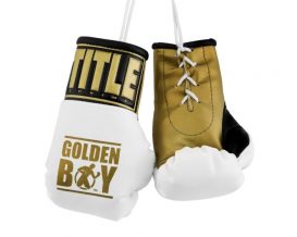 Замовити Брелок Боксерские перчатки Golden Boy 5" Mini Boxing Gloves
