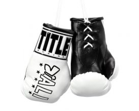 Замовити Брелок боксерские перчатки Ali 5" Mini Boxing Gloves Белый/Черный