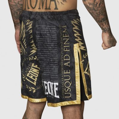 Шорты Leone Legionarivs II MMA Shorts Черный/Золото(Р¤РѕС‚Рѕ 2)