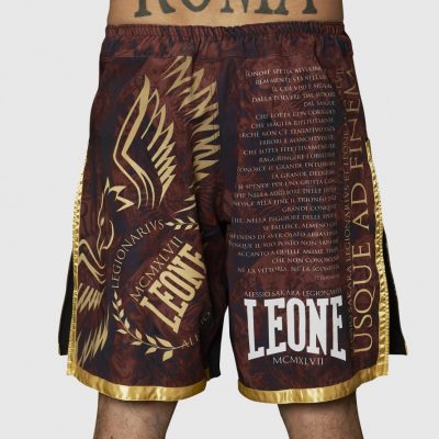 Шорты Leone Legionarivs II MMA Shorts Бордо(Р¤РѕС‚Рѕ 3)