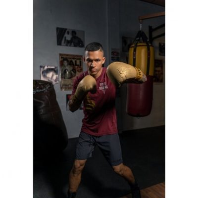 Боксерские перчатки Title ALI Limited Edition Comeback Bag Gloves(Р¤РѕС‚Рѕ 6)